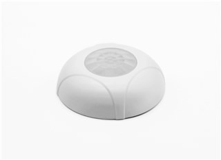 D100 Motion Sensor-